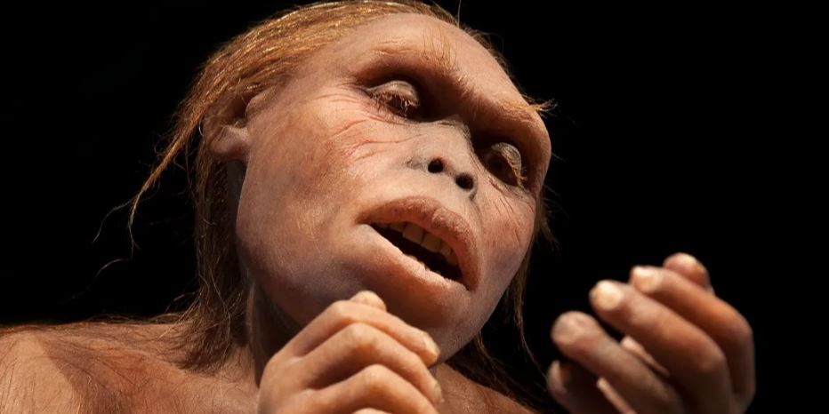 Bukan Homo Sapiens, Ini Manusia Purba Pertama yang Tangannya Terampil Gunakan Alat Sejak 3,2 Juta Tahun Lalu