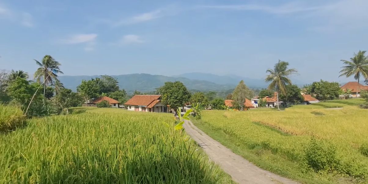 Kampung di Sumedang Ini Idaman Banget, Dikelilingi Sawah dan Punya Mata Air Jernih