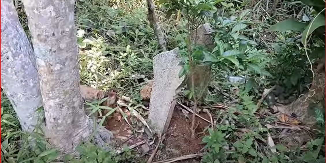 Kawasan Hutan Jati Terpencil di Semarang Ini Dulunya Tempat Pembantaian Anggota PKI, Cerita Saksi Hidup Bikin Merinding