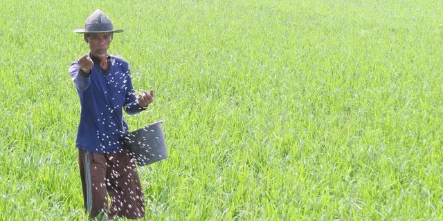 Penempatan Bulog dan PT Pupuk Indonesia di Bawah Kementan Dinilai Untungkan Petani