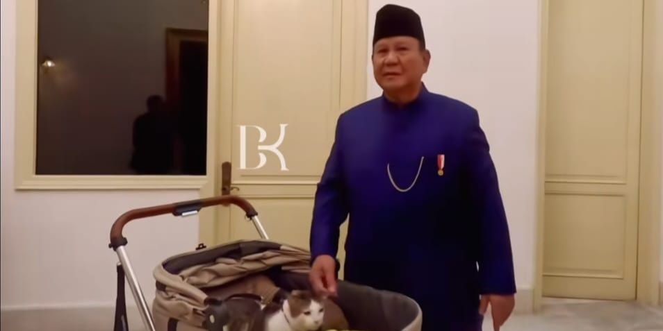 Sah, Bobby The Cat jadi 'Penguasa Istana Merdeka' Dampingi Prabowo