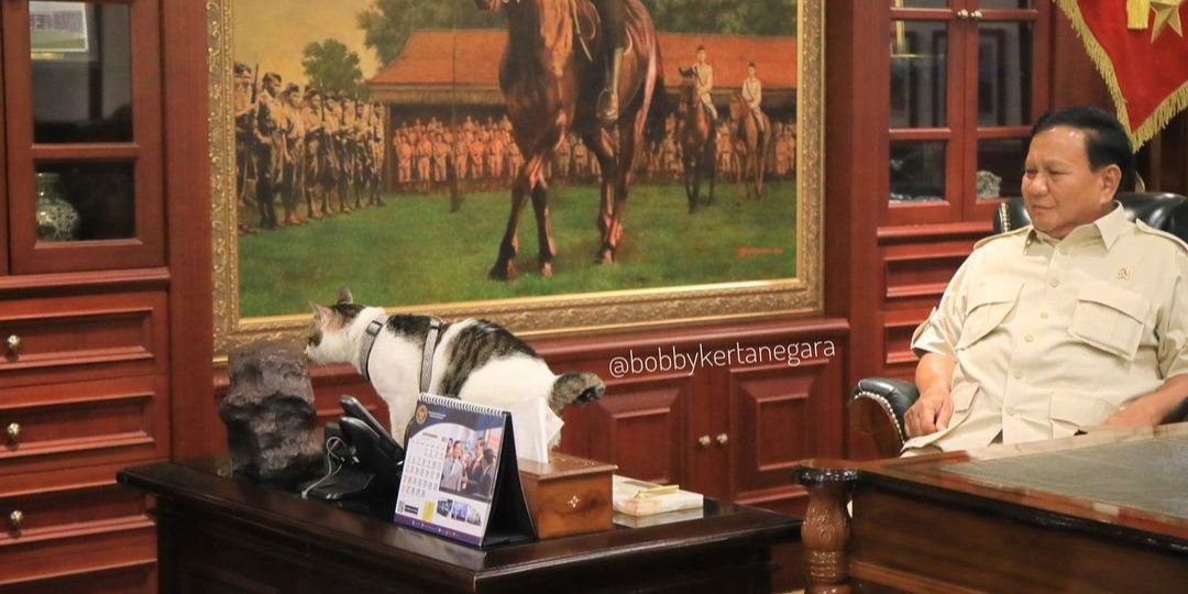 Naik Pangkat Kucing Bobby Kesayangan Presiden Prabowo, Kini Sah Jadi 'Penguasa Istana'