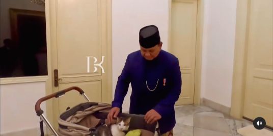 Selain Prabowo, Empat Pemimpin Dunia Ini juga Punya Kucing Kesayangan Seperti Bobby Kertanegara