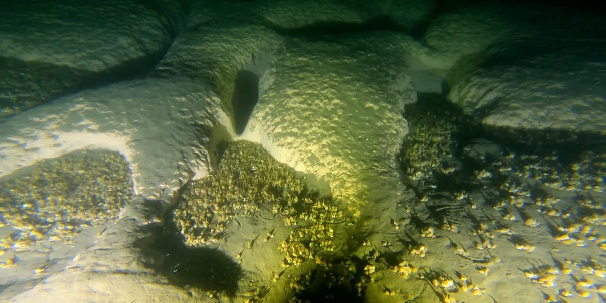 Puluhan Lubang Raksasa Ditemukan di Dasar Danau, Ilmuwan Sampai Kirim Kapal Selam karena Penasaran