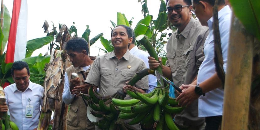 Ini Salah Satu Pemasok Bahan Pangan Program Makan Bergizi Gratis