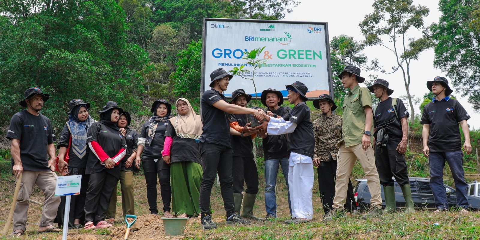 Aksi Nyata Kelompok Tani Mantan Penambang Memulihkan Hutan Lewat BRImenanam Grow & Green