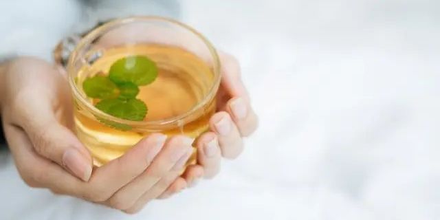 Resep Minuman Herbal Pengendali Kolesterol: Solusi Alami yang Bisa Dibuat di Rumah