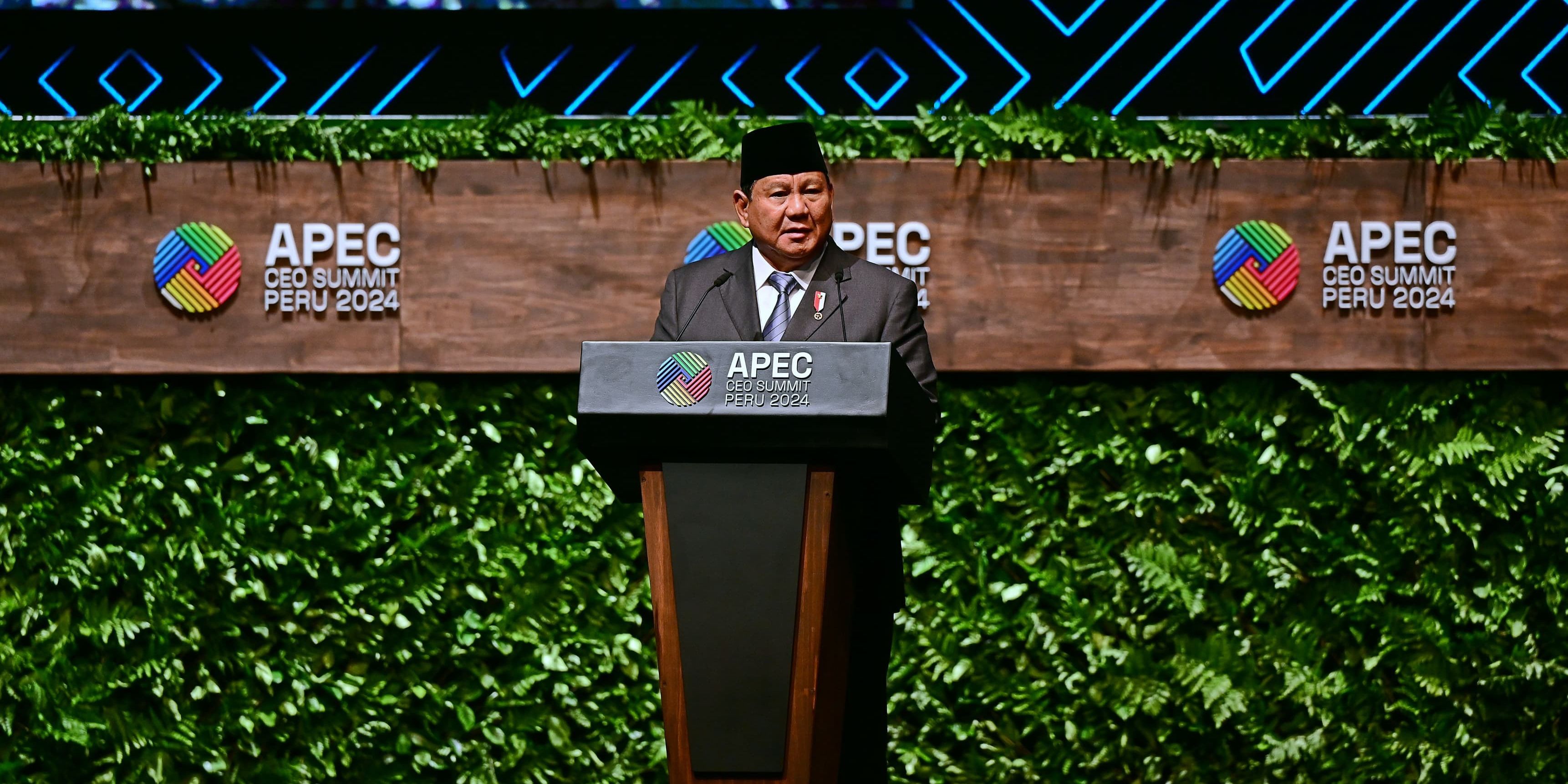 VIDEO: Lugas Prabowo di APEC Bicara Energi, Bahaya Teknologi & Janji Lindungi Investasi Asing