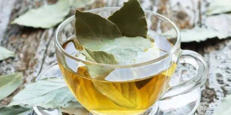 4 Jenis Daun Herbal yang Efektif Menurunkan Darah Tinggi, Mudah Ditanam di Halaman Rumah Anda