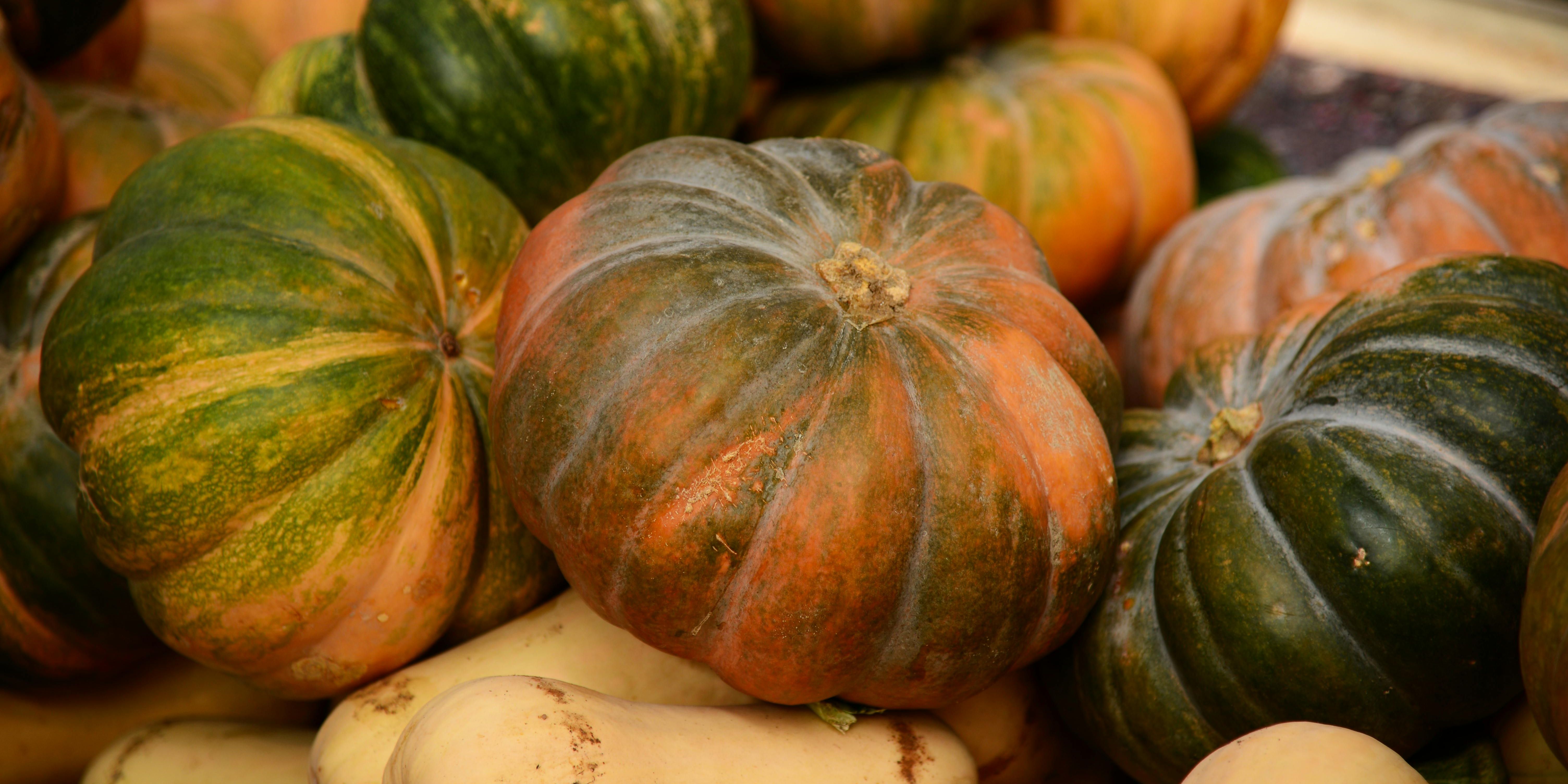 Mengenal 3 Jenis Labu yang Jarang Orang Tahu Namanya, dari Labu Parang hingga Butternut Pumpkin yang Kaya Nutrisi