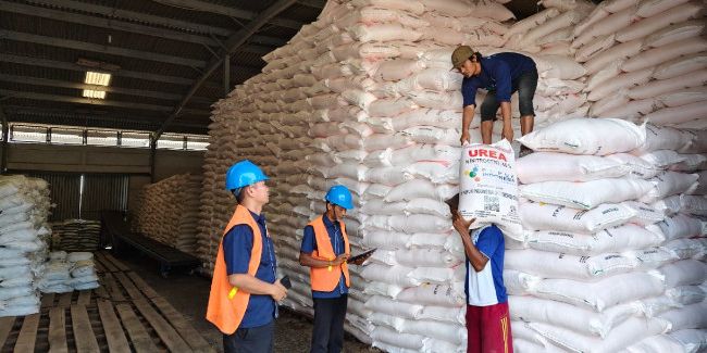 Eksklusif! Pemain Pupuk Subsidi Ungkap Cara Monopoli Pasar, Bikin Petani Menjerit