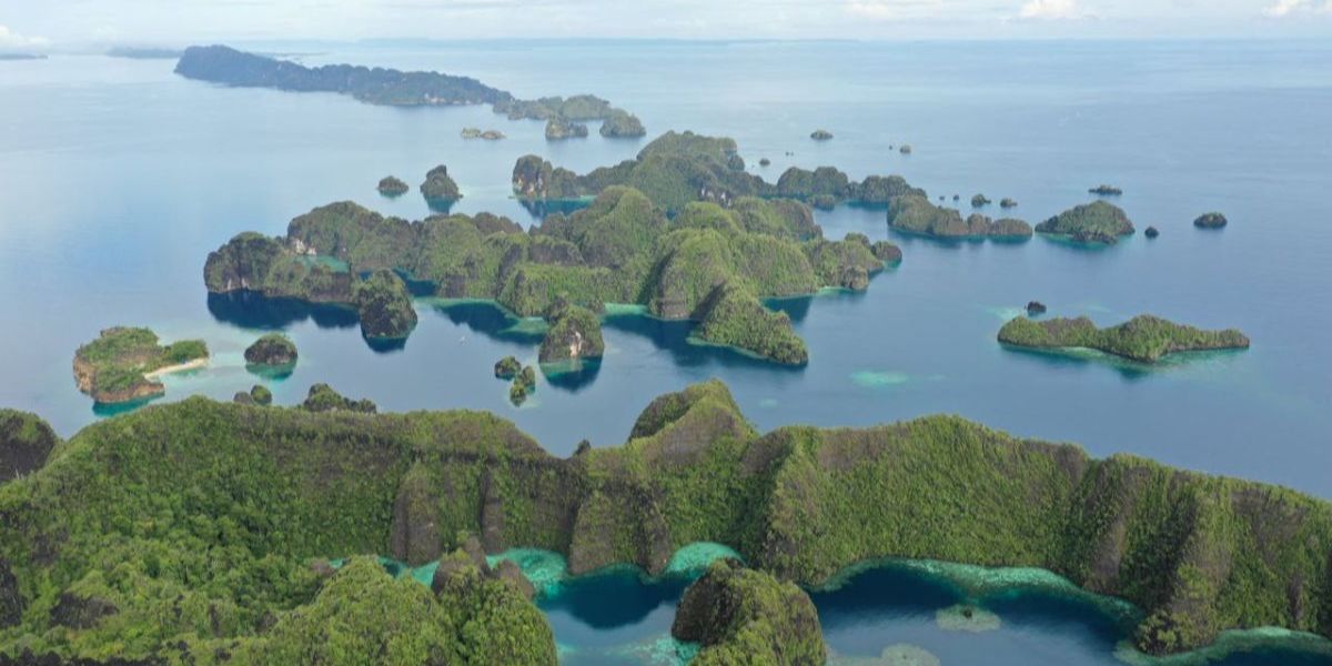 Gokil, Anak-anak Papua Bermain dengan Seekor Ikan Paus di Laut Raja Ampat