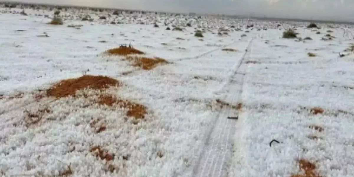 VIDEO Pertama dalam Sejarah, Hujan Salju Turun di Gurun Arab Saudi