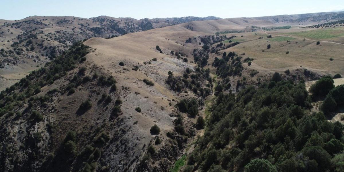 Pakai Drone dengan Teknologi Laser, Ilmuwan Temukan Kota Kuno Abad Pertengahan di Puncak Gunung Uzbekistan