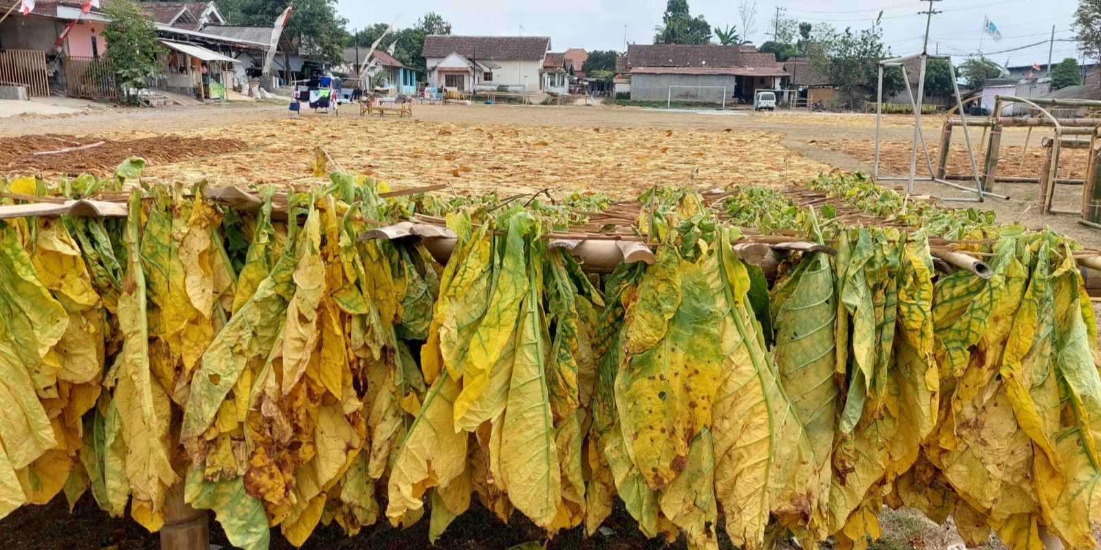 OPINI: Peran Dana Bagi Hasil Cukai Hasil Tembakau dalam Pembangunan Sosial dan Ekonomi di Daerah