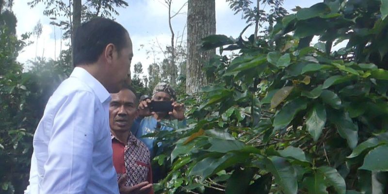 Jokowi Blusukan Lagi Bertemu Petani Kopi Temanggung: Kita Hanya Main, Enggak Ada Maksud Apa-Apa