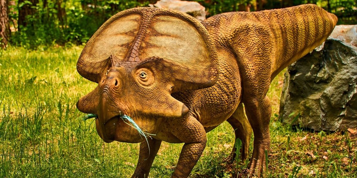 Peneliti Ungkap Manusia akan Bernasib Sama Seperti Dinosaurus: Makin Bodoh Seiring Waktu, Ini Alasannya