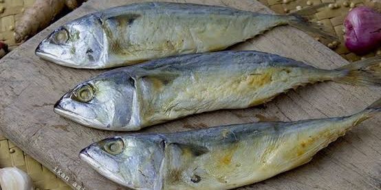 Trik Ampuh Mengurangi Asin pada Ikan Peda yang Jarang Diketahui