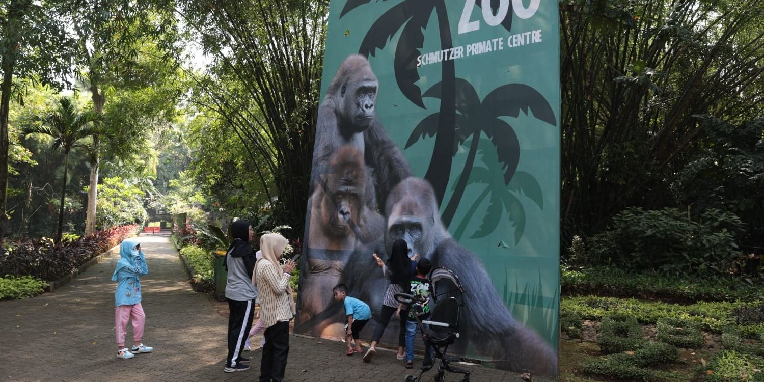 Libur Akhir Tahun, 10.360 Orang Kunjungi Kebun Binatang Ragunan