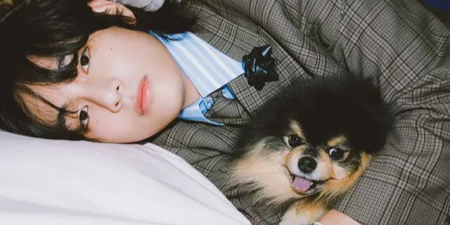 Kenangan Manis Yeontan, Anjing Kesayangan V BTS yang Kini Telah Berpulang