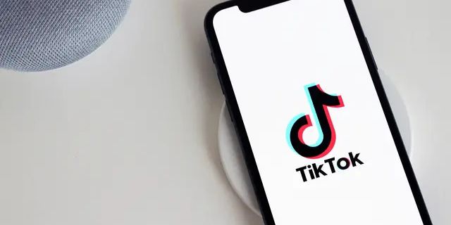 TikTok CS Disebut Pemerintah Mau Bantu Berantas Judi Online