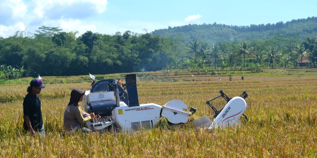 Kejar Swasembada Pangan, PIS Punya Program Tingkatkan Produktivitas Lahan Hingga 40 Persen