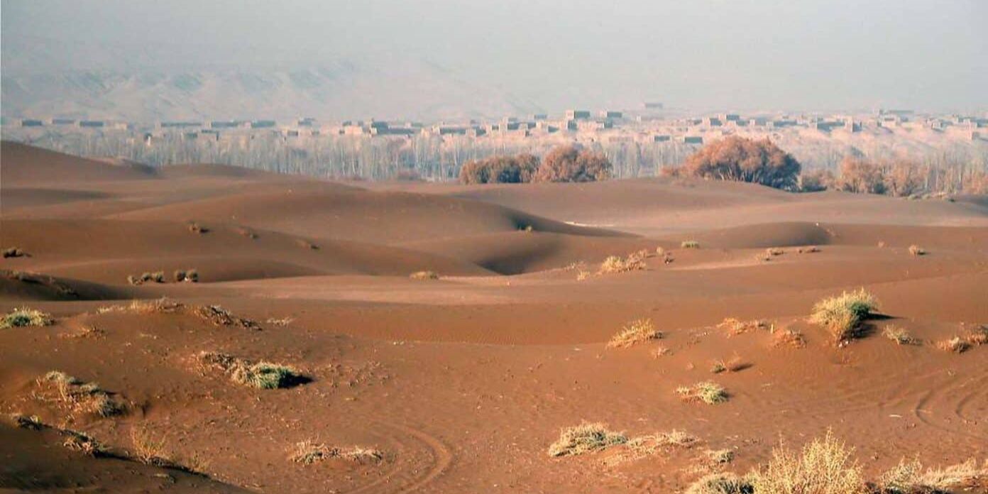 46 Tahun Tanam Pohon di Gurun, China Berhasil Bikin Tembok Hutan Buatan Sepanjang 3.000 Kilometer