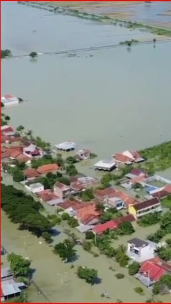 5 Fakta Banjir Besar di Demak, Banyak Tanggul Jebol hingga Puluhan Ribu Warga Harus Mengungsi