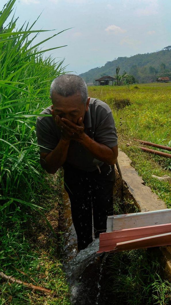 Harga Beras Meroket, Erick Thohir: Cukup Bagus, Petani Bahagia