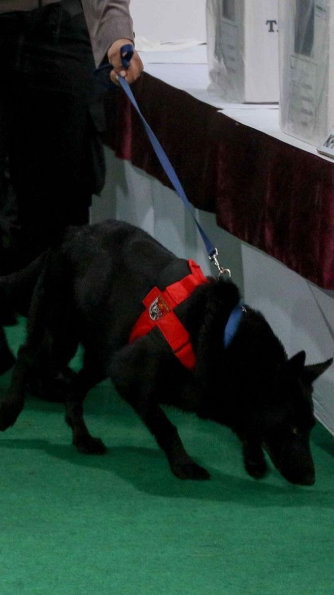 FOTO: Momen Pengerahan Anjing Pelacak K9 di TPS 033 Bojong Koneng, Tempat Prabowo Mencoblos