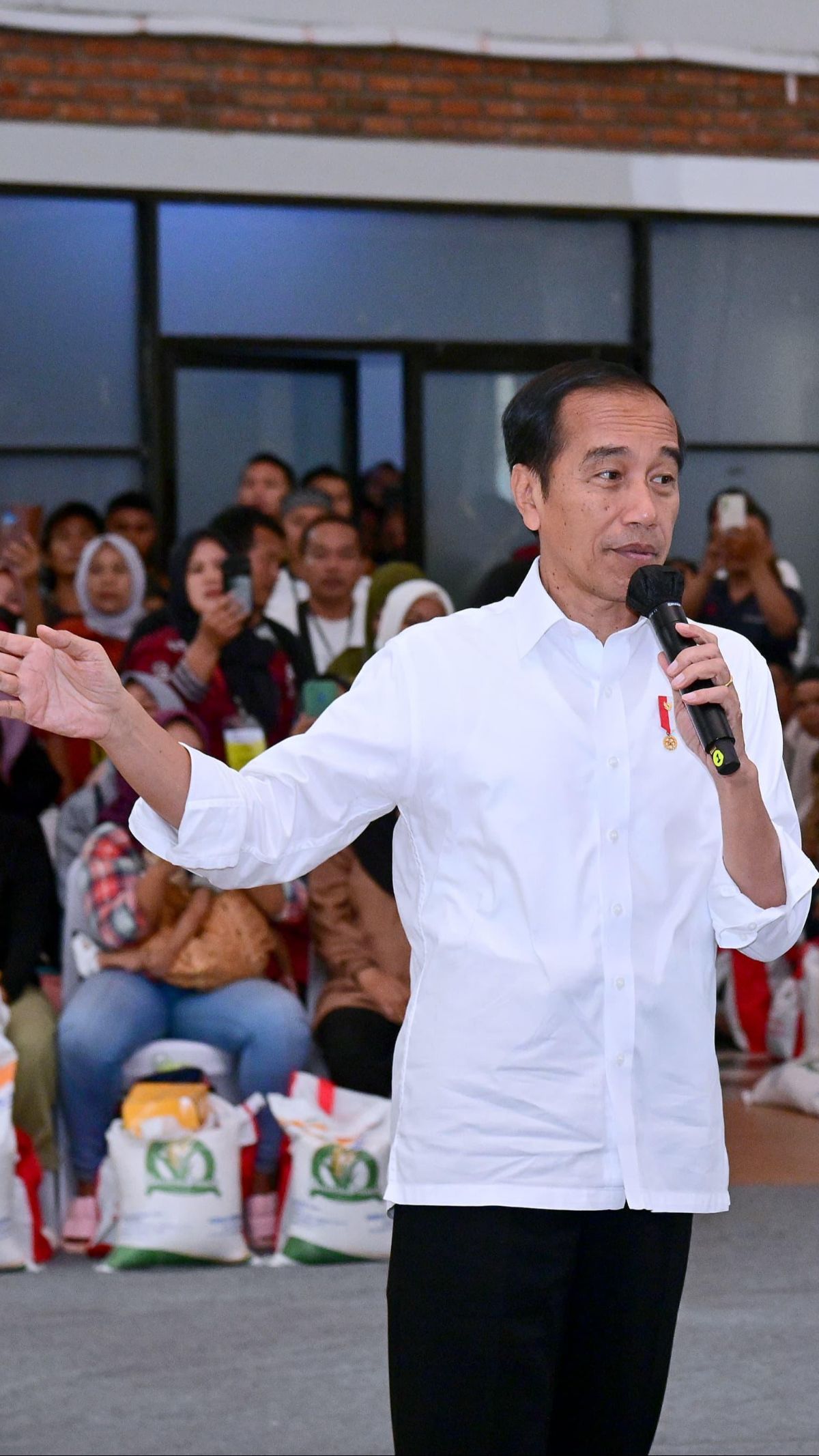 Presiden Jokowi Tegaskan Bantuan Pangan Bulog Adalah Solusi Hadapi Kenaikan Pangan