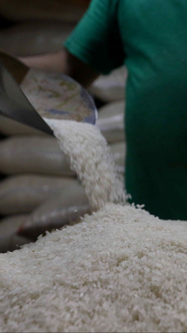 Survei BI: Harga Beras Paling Tinggi di Kalteng, Hampir Rp19.000 per Kg