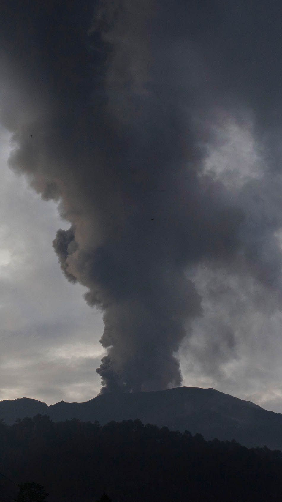 Gunung Marapi Sumatera Barat Erupsi Lagi, Pendaki Diminta Tidak Memasuki Radius 4,5 Kilometer