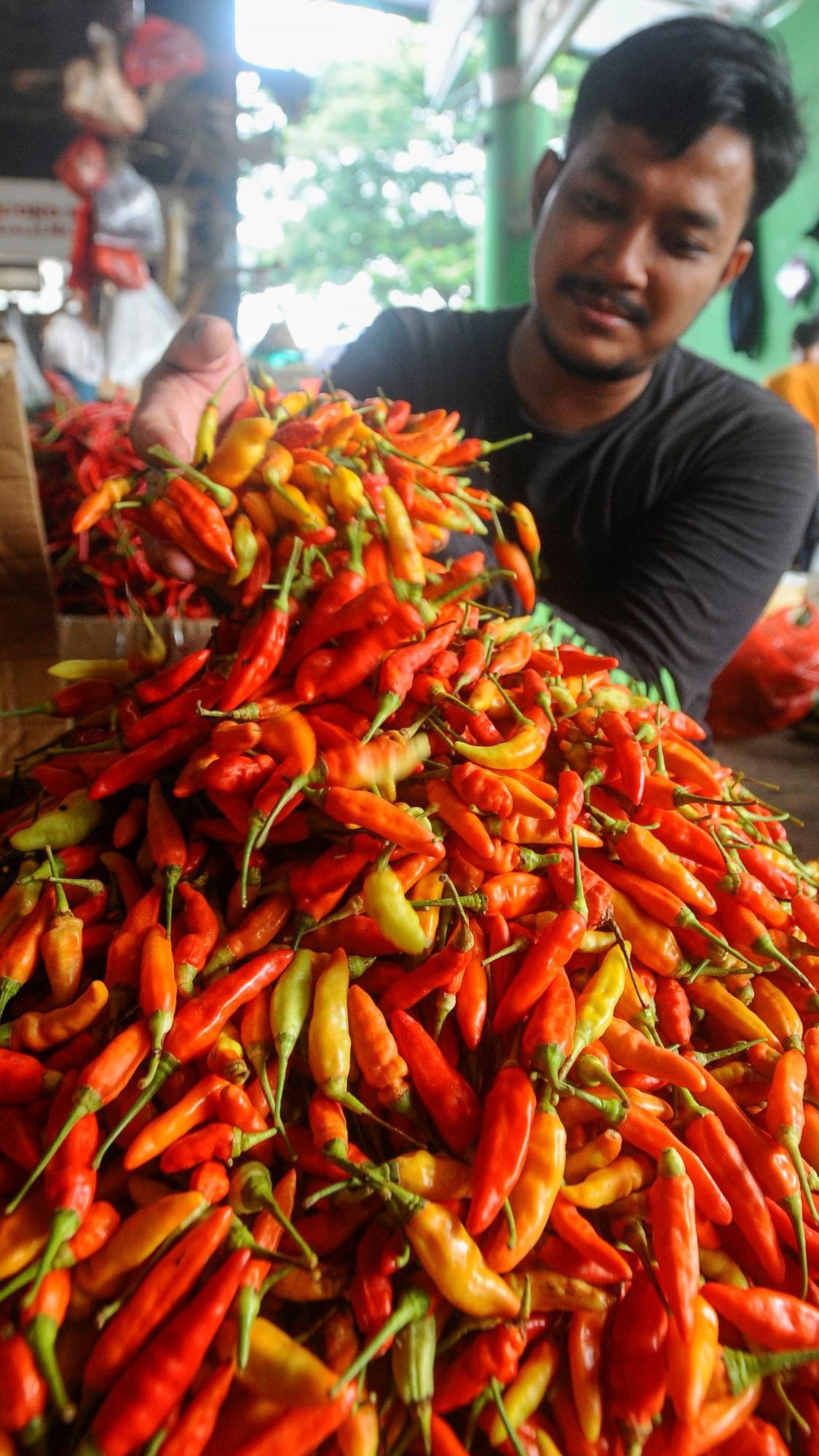 Mendag Zulkifli Kaget Harga Cabai Sudah Tembus Rp100.000 per Kg