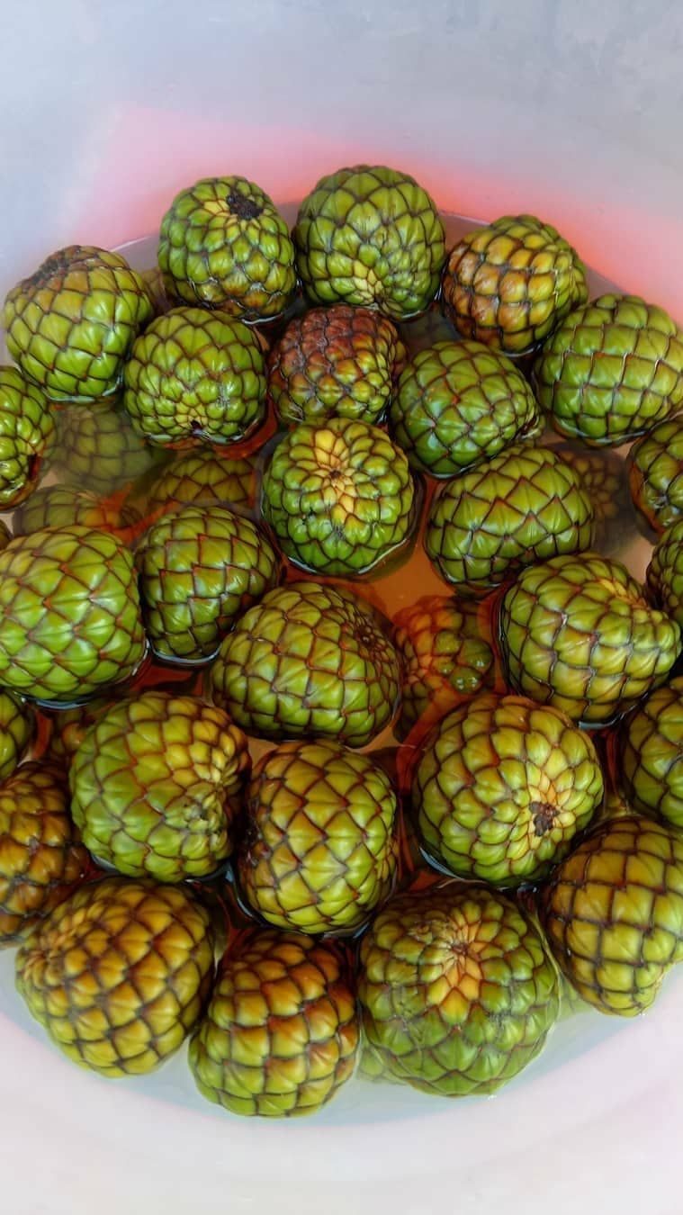 Mencicipi Rumbia, Buah Pohon Sagu Favorit Masyarakat Aceh yang Penuh Khasiat