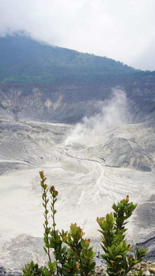 8 Wisata Lembang Bandung yang Indah dan Menakjubkan, Wajib Dikunjungi