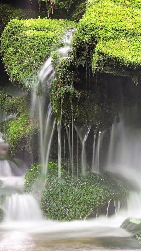 6 Wisata Tegal Populer, Destinasi Liburan Seru dan Menyenangkan