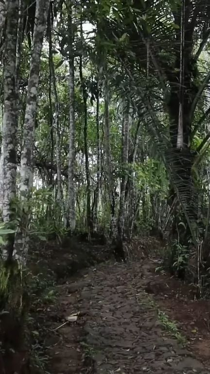 Kisah Kampung di Pelosok Gunung Tasikmalaya yang Belum Teraliri Listrik, Warga hanya Bisa Pakai Satu Lampu di Rumah