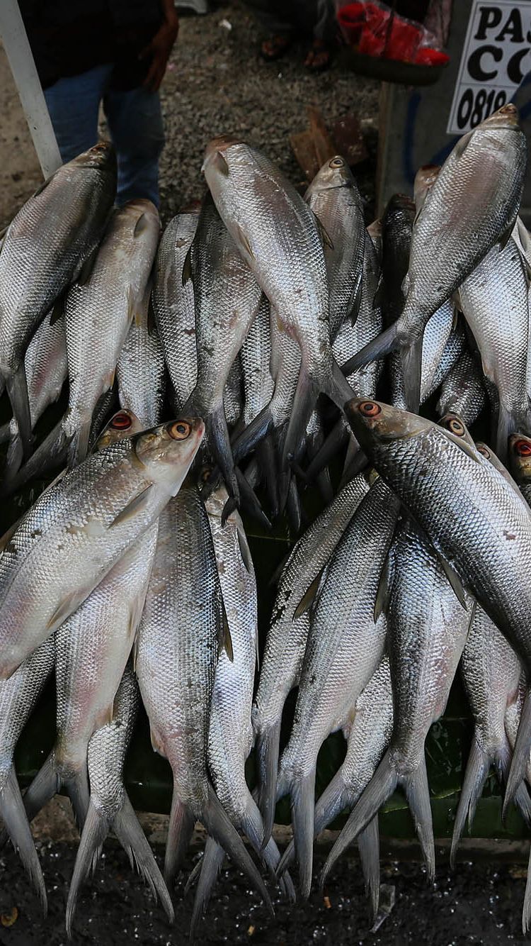 FOTO: Inilah Makna Ikan Bandeng yang Jadi Sajian Wajib di Perayaan Imlek