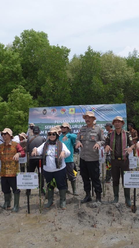 Dukung Upaya Mitigasi Perubahan Iklim, Pertamina Rehabilitasi Mangrove di NTT