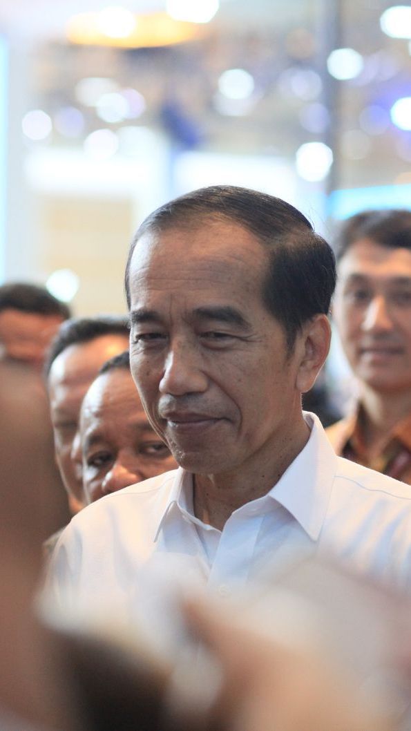 Kunjungi Pasar Kawat Tanjungbalai, Jokowi Sebut Harga Beras hingga Cabai Masih Naik