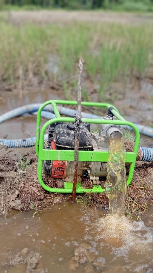 Kejar Produksi dan Tanam dua kali, Kementan Bantu Petani di Sukabumi Irigasi Perpompaan