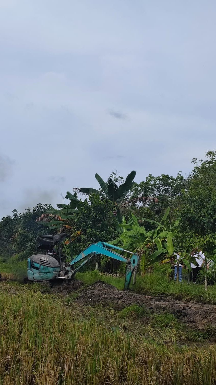 Tangani Darurat Pangan, Kementan Kebut Optimasi Lahan