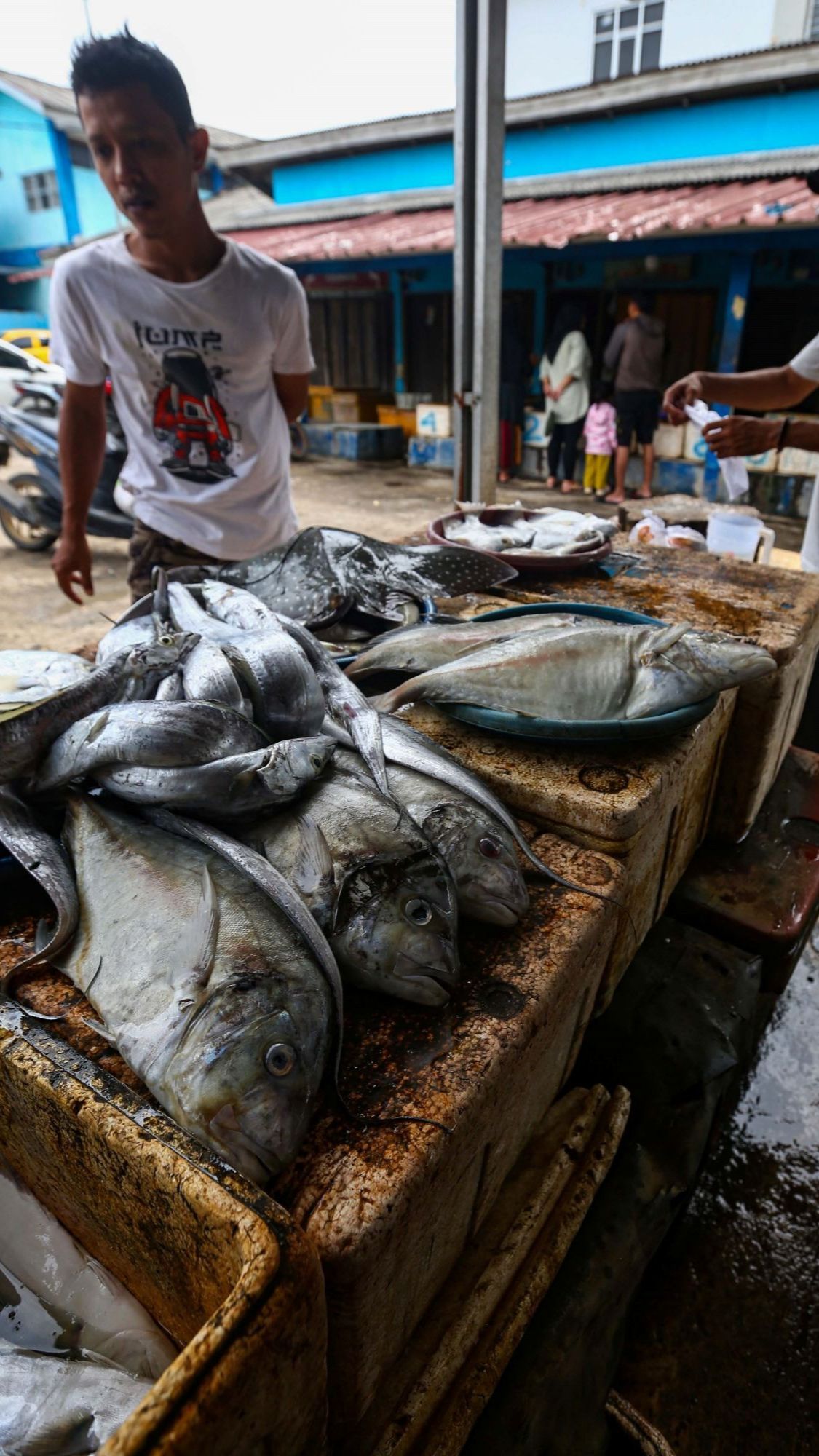 Foto: KKP Sebut Ketersediaan Ikan Selama Ramadan hingga Idulfitri Aman