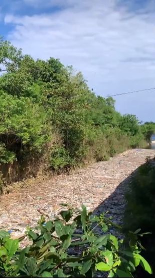 Viral 100 Ton Sampah Menumpuk di Muara Sungai Pantai Dreamland Bali, Ini Penjelasan Pemkab Badung