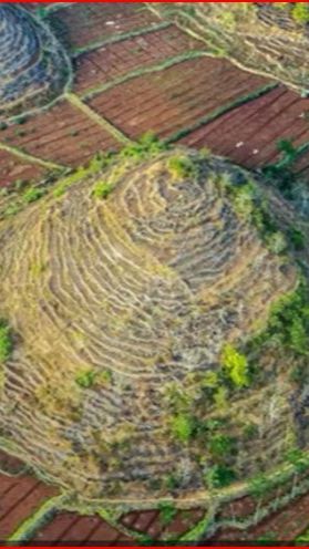 Fakta Unik Bentang Alam Kabupaten Gunungkidul, Dulunya Hamparan Lautan yang Kini Jadi Deretan Pegunungan