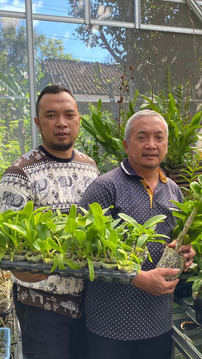 BRI Sukseskan Misi Sekeluarga di Muntilan Memasyarakatkan Anggrek, Mudah Ditanam di Rumah