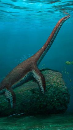 Heboh Penemuan Spesies Baru Plesiosaurus di Jerman, Kini Sedang Digali