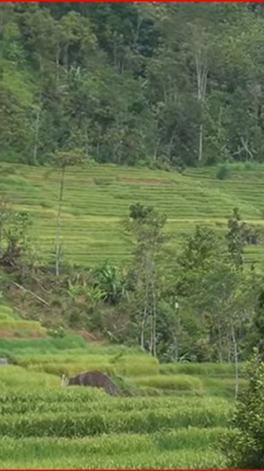 Kisah Desa Para Pengembara di Wonogiri, Dulunya Jadi Tempat Bertapa Raden Mas Said