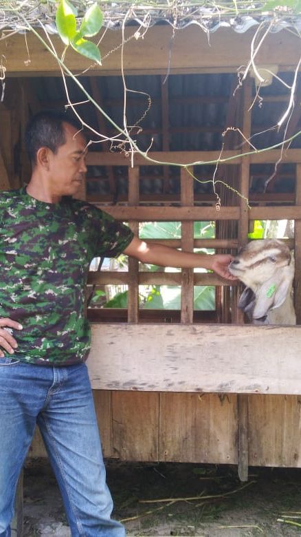 Berawal dari Kena PHK, Pria Ini Kembangkan Metode Efisien Beternak Kambing Tanpa Harus “Ngarit”